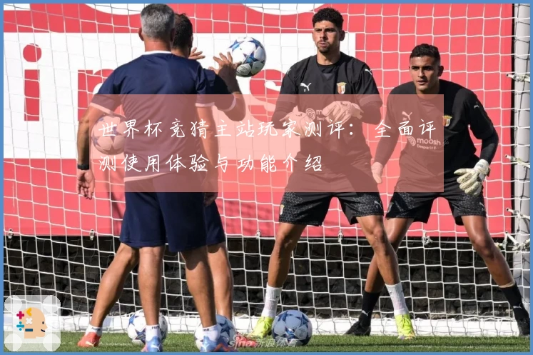 世界杯竞猜主站玩家测评：全面评测使用体验与功能介绍