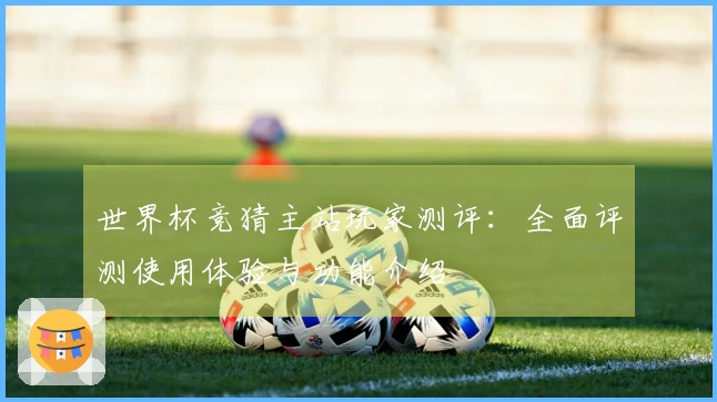世界杯竞猜主站玩家测评：全面评测使用体验与功能介绍