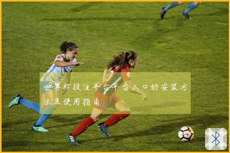 世界杯投注平台平台入口的安装方法及使用指南