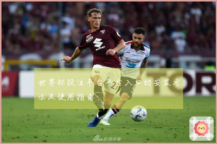 世界杯投注平台平台入口的安装方法及使用指南