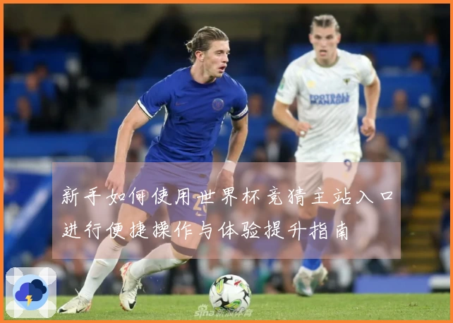 新手如何使用世界杯竞猜主站入口进行便捷操作与体验提升指南